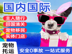 库车龟兹航空运输国际宠物托运 【国